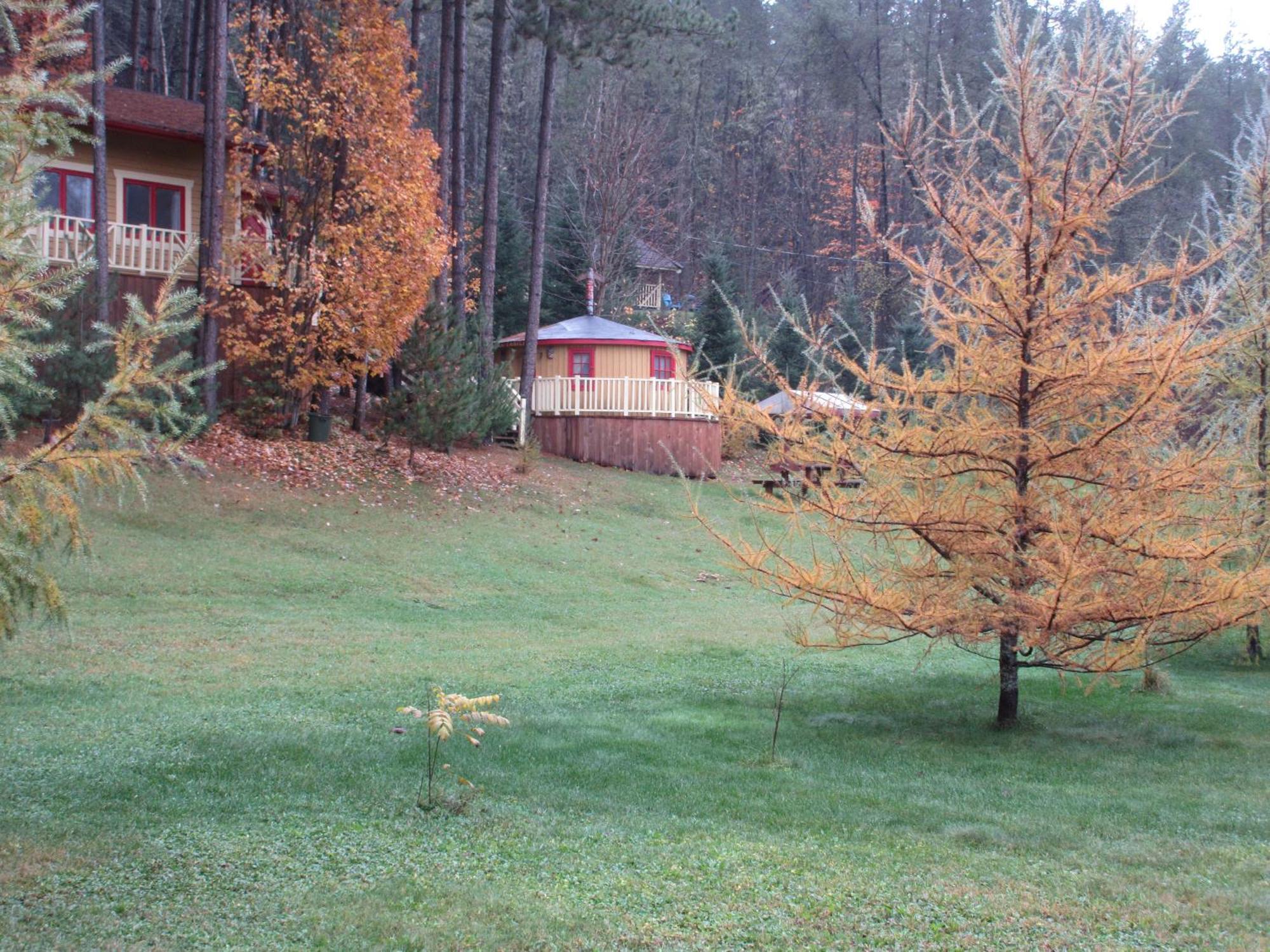 Bed and Breakfast La Maison Sous Les Arbres Saint Roch de Mekinac Exterior foto