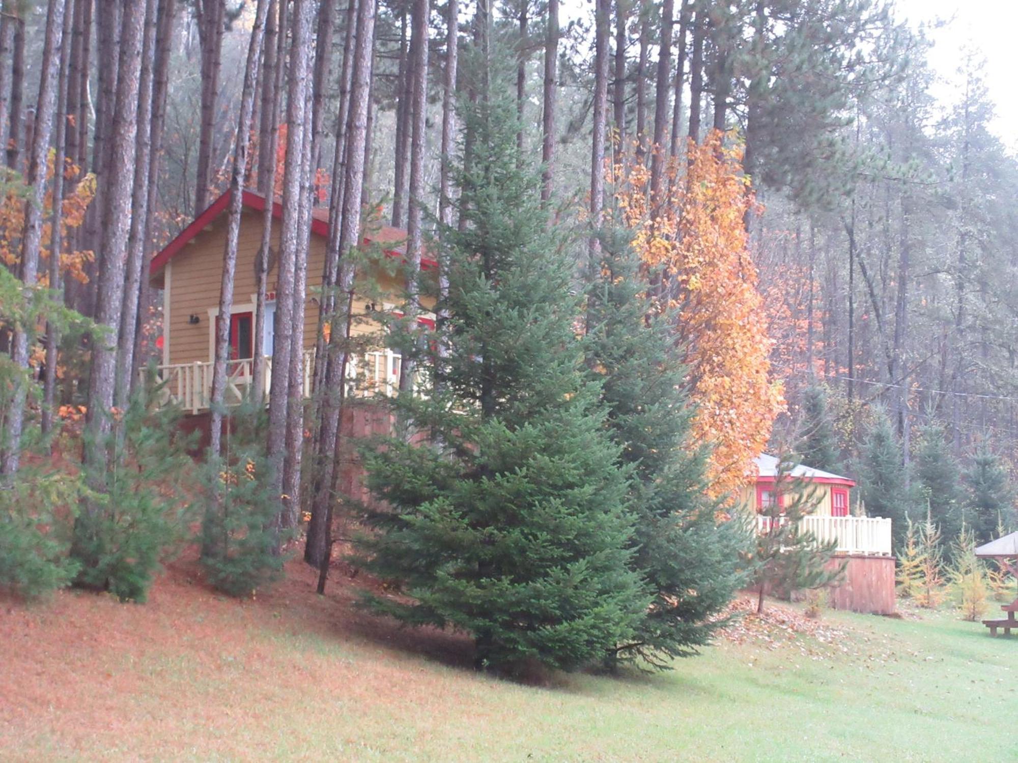 Bed and Breakfast La Maison Sous Les Arbres Saint Roch de Mekinac Exterior foto