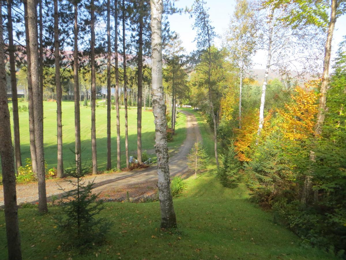 Bed and Breakfast La Maison Sous Les Arbres Saint Roch de Mekinac Exterior foto