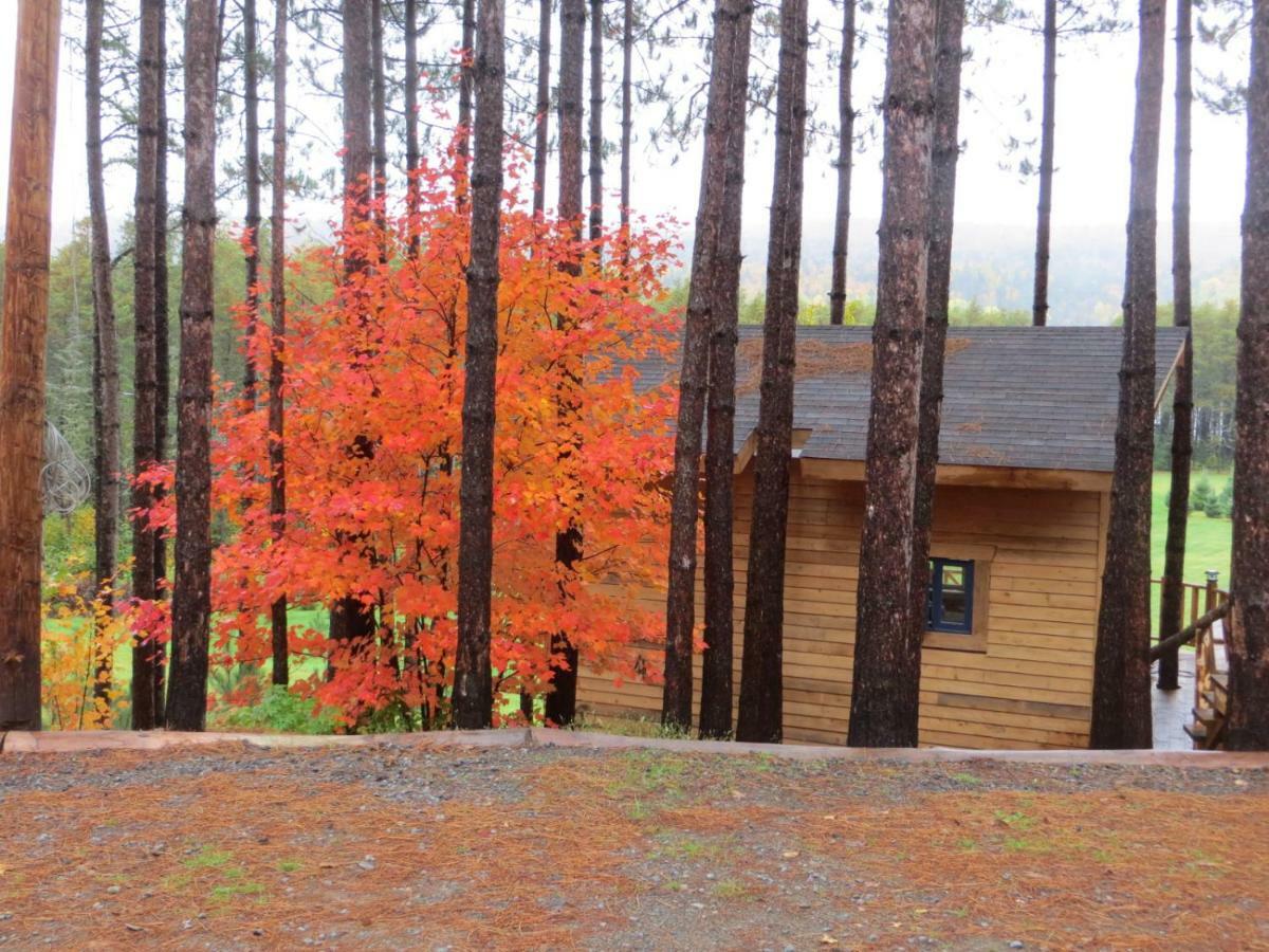 Bed and Breakfast La Maison Sous Les Arbres Saint Roch de Mekinac Exterior foto