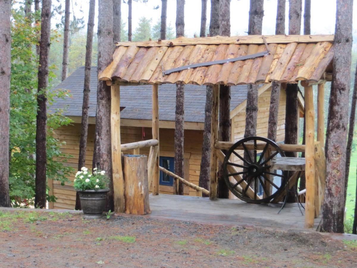 Bed and Breakfast La Maison Sous Les Arbres Saint Roch de Mekinac Exterior foto