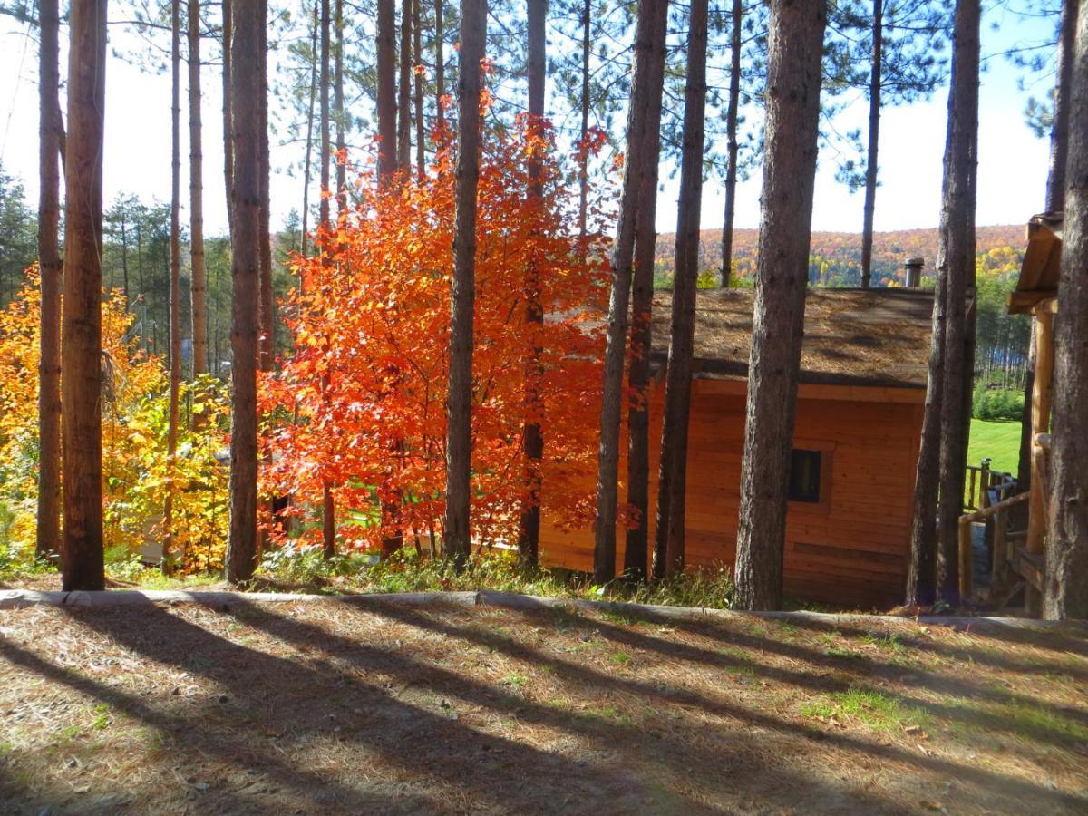 Bed and Breakfast La Maison Sous Les Arbres Saint Roch de Mekinac Exterior foto