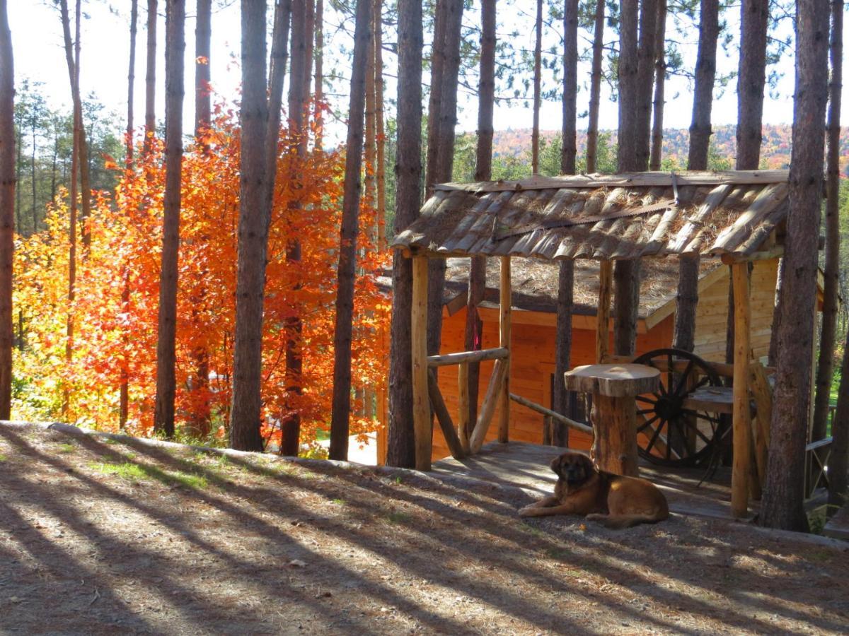 Bed and Breakfast La Maison Sous Les Arbres Saint Roch de Mekinac Exterior foto