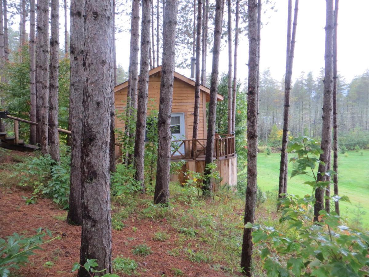 Bed and Breakfast La Maison Sous Les Arbres Saint Roch de Mekinac Exterior foto