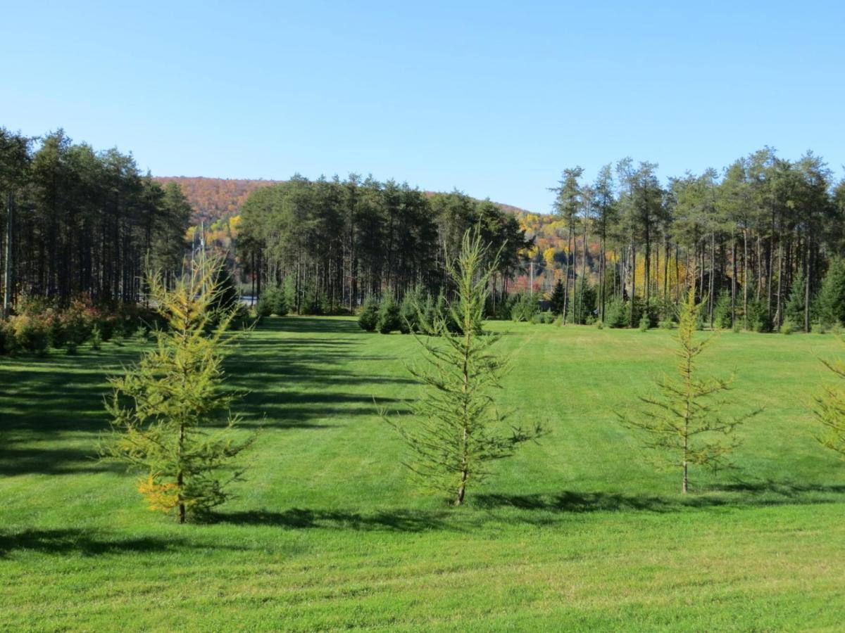 Bed and Breakfast La Maison Sous Les Arbres Saint Roch de Mekinac Exterior foto