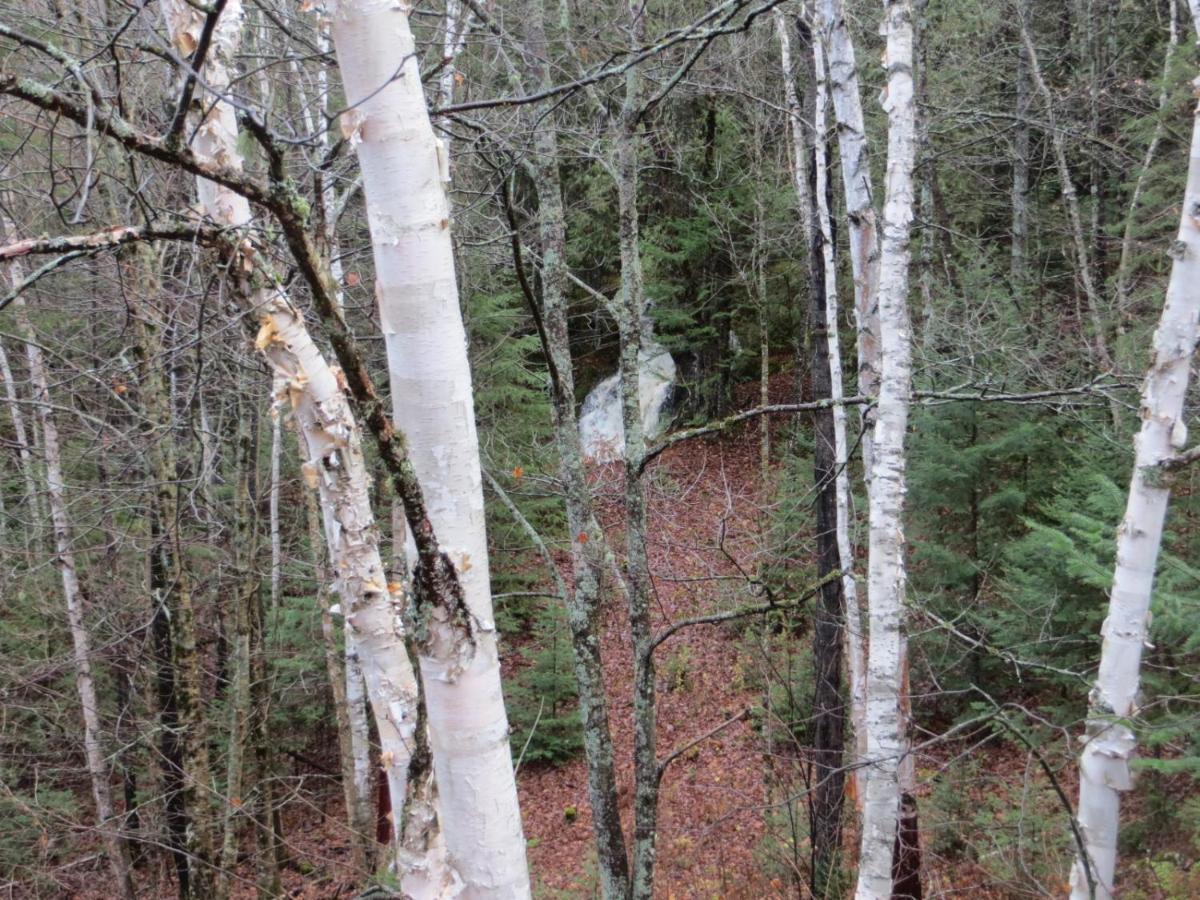 La Maison Sous Les Arbres Saint Roch de Mekinac Exterior foto